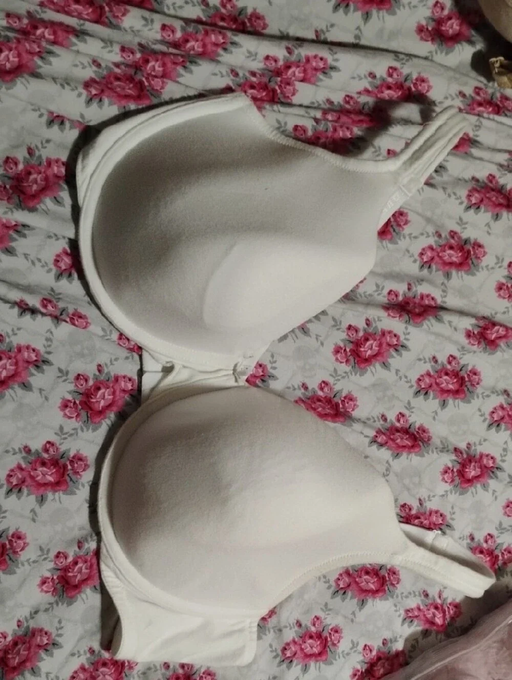 Cacique white lightly